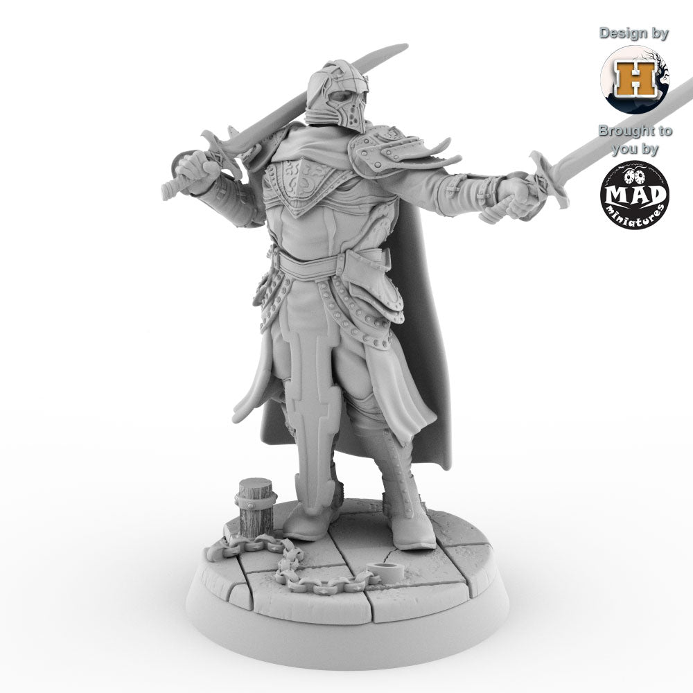 Sir Balyn le Sauvage