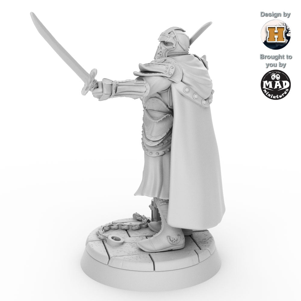 Sir Balyn le Sauvage