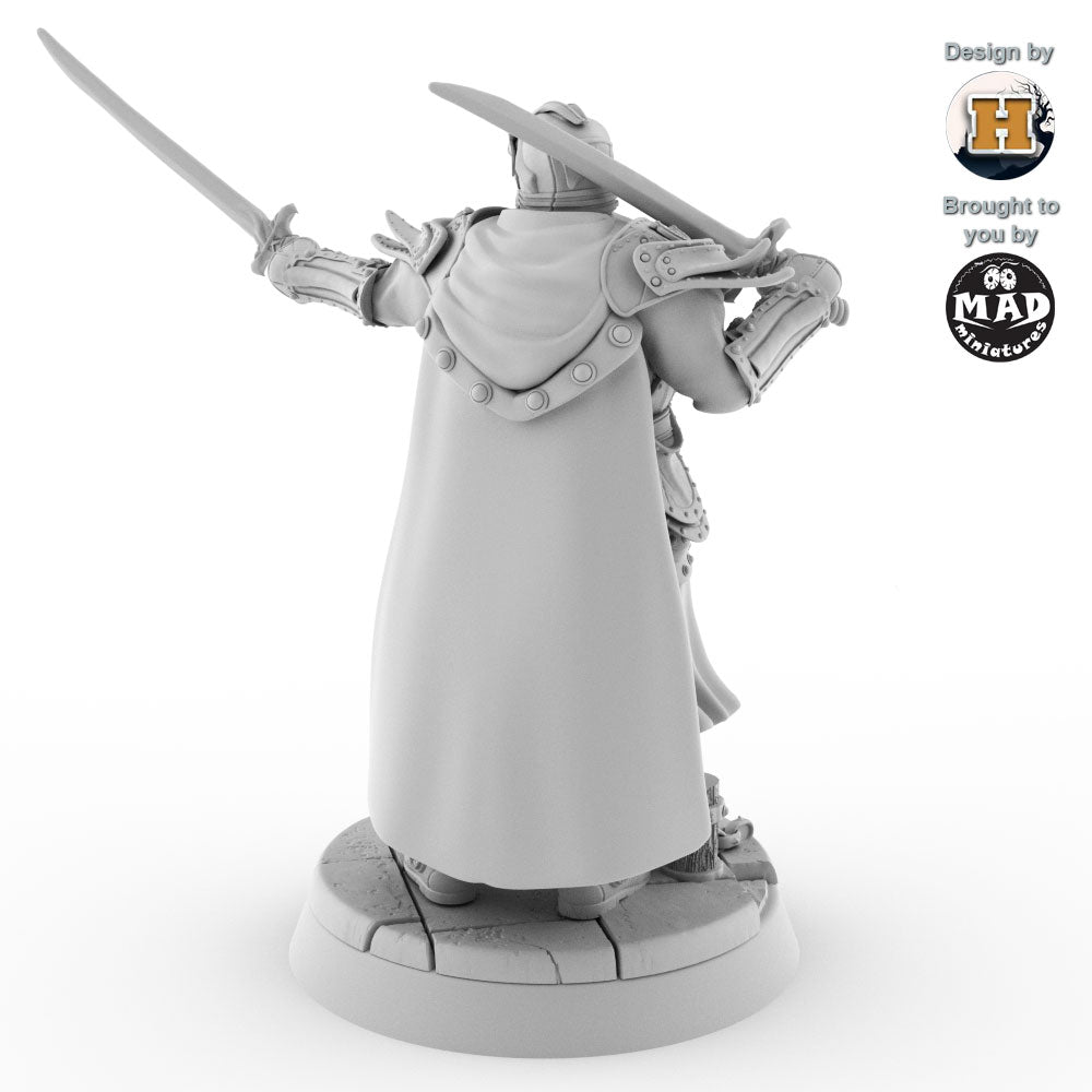 Sir Balyn le Sauvage