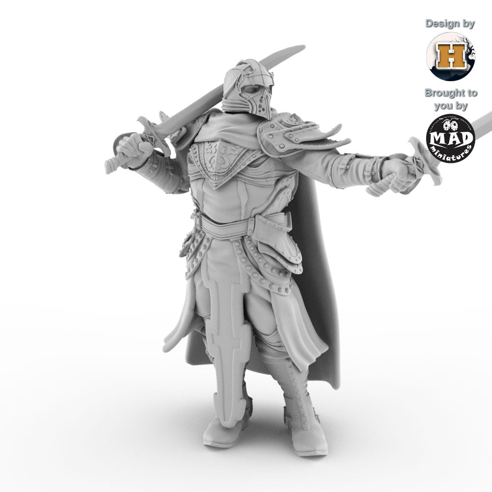 Sir Balyn le Sauvage
