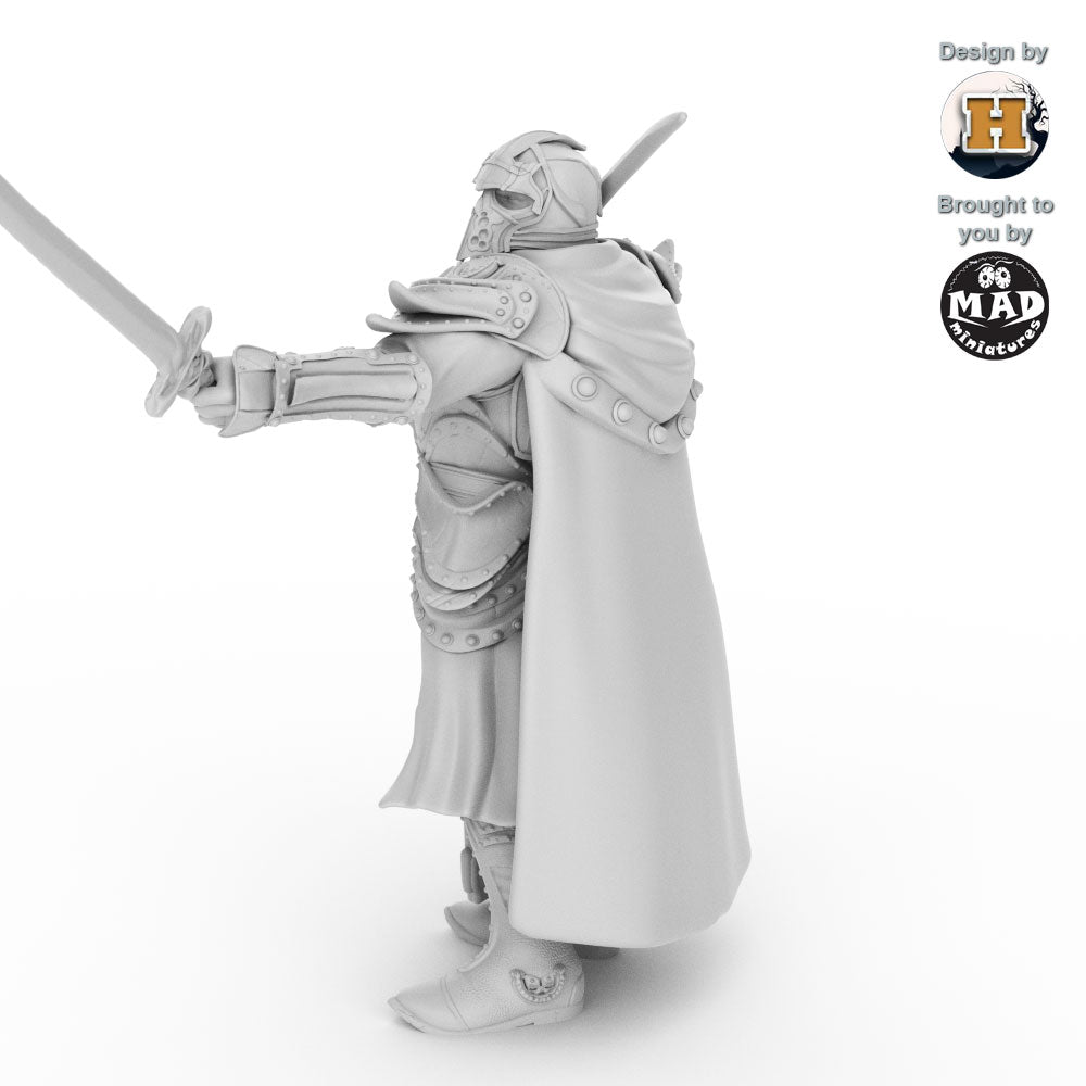 Sir Balyn le Sauvage