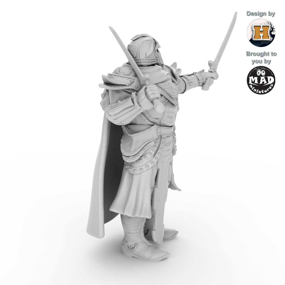 Sir Balyn le Sauvage