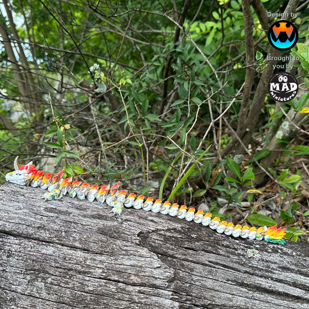 Unicorn Dragon