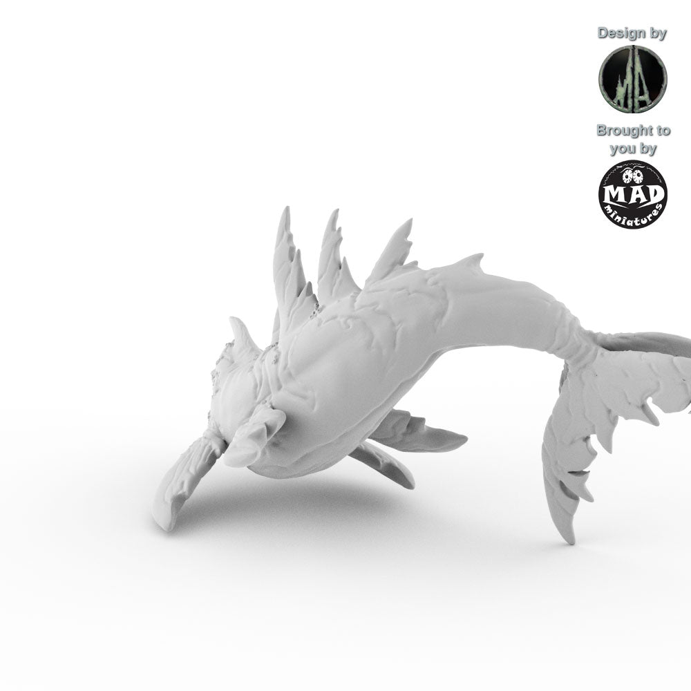 Killer Whale