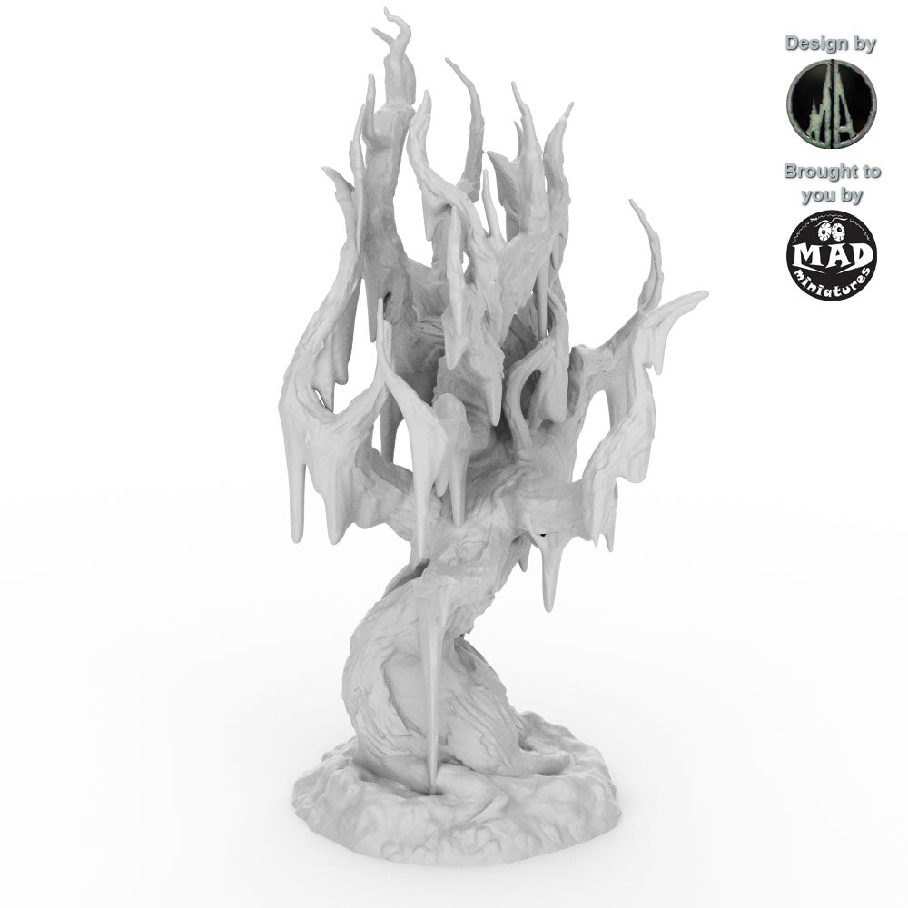 Swamp Trees