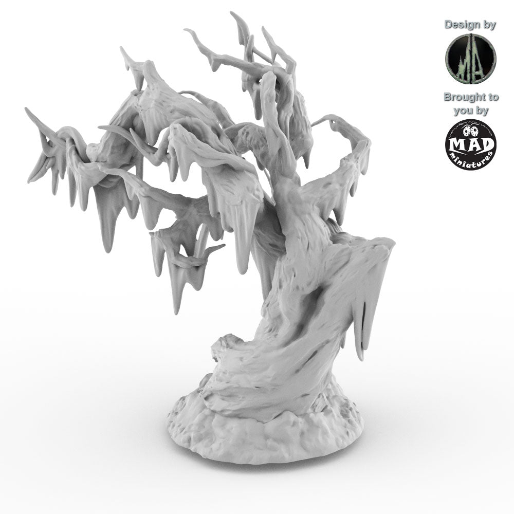Swamp Trees