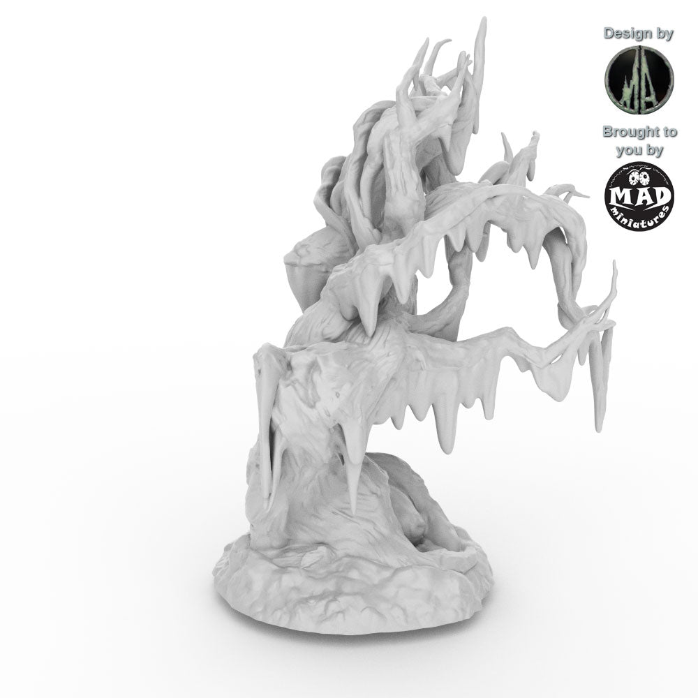 Swamp Trees
