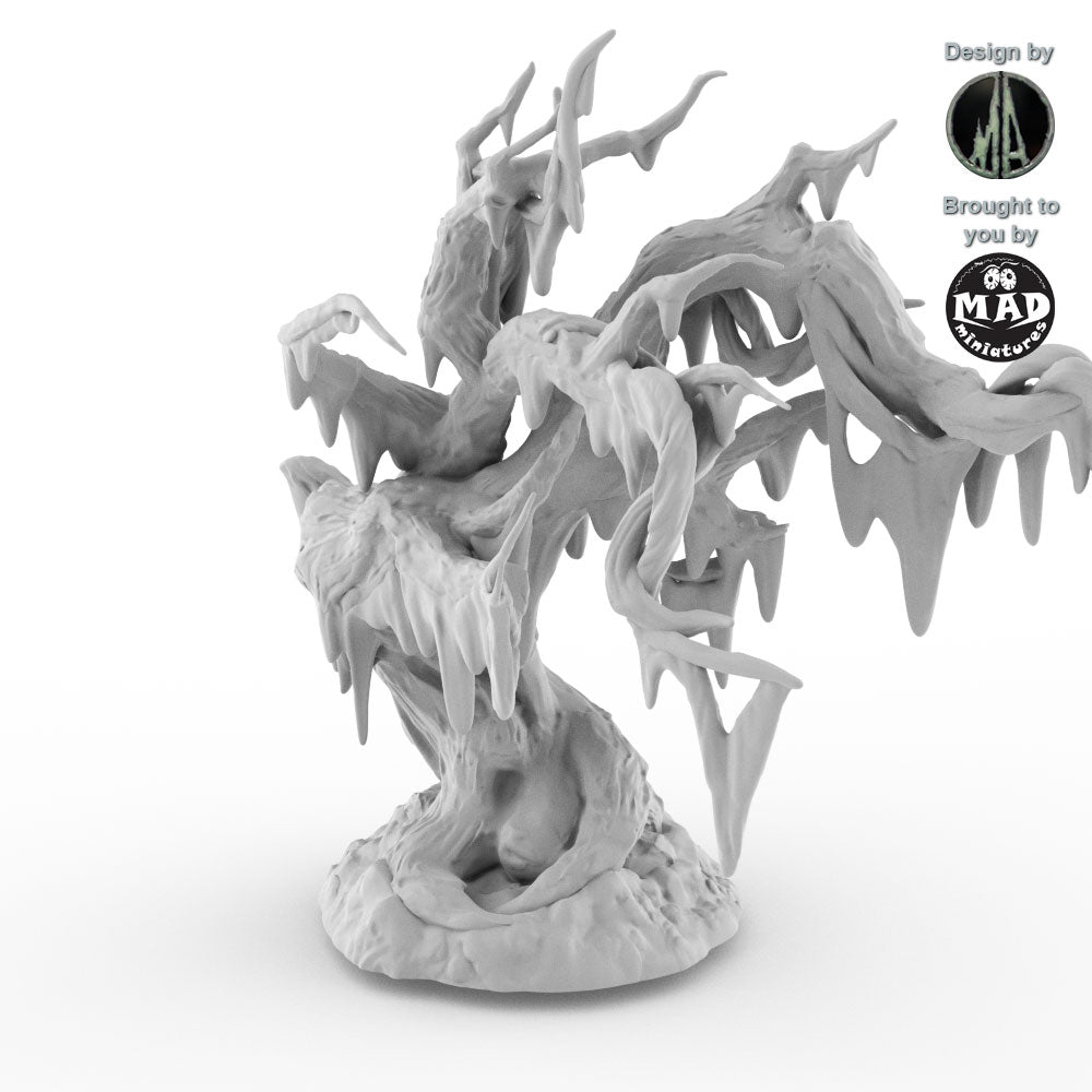 Swamp Trees