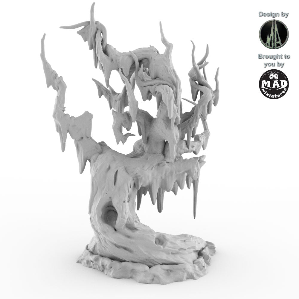 Swamp Trees