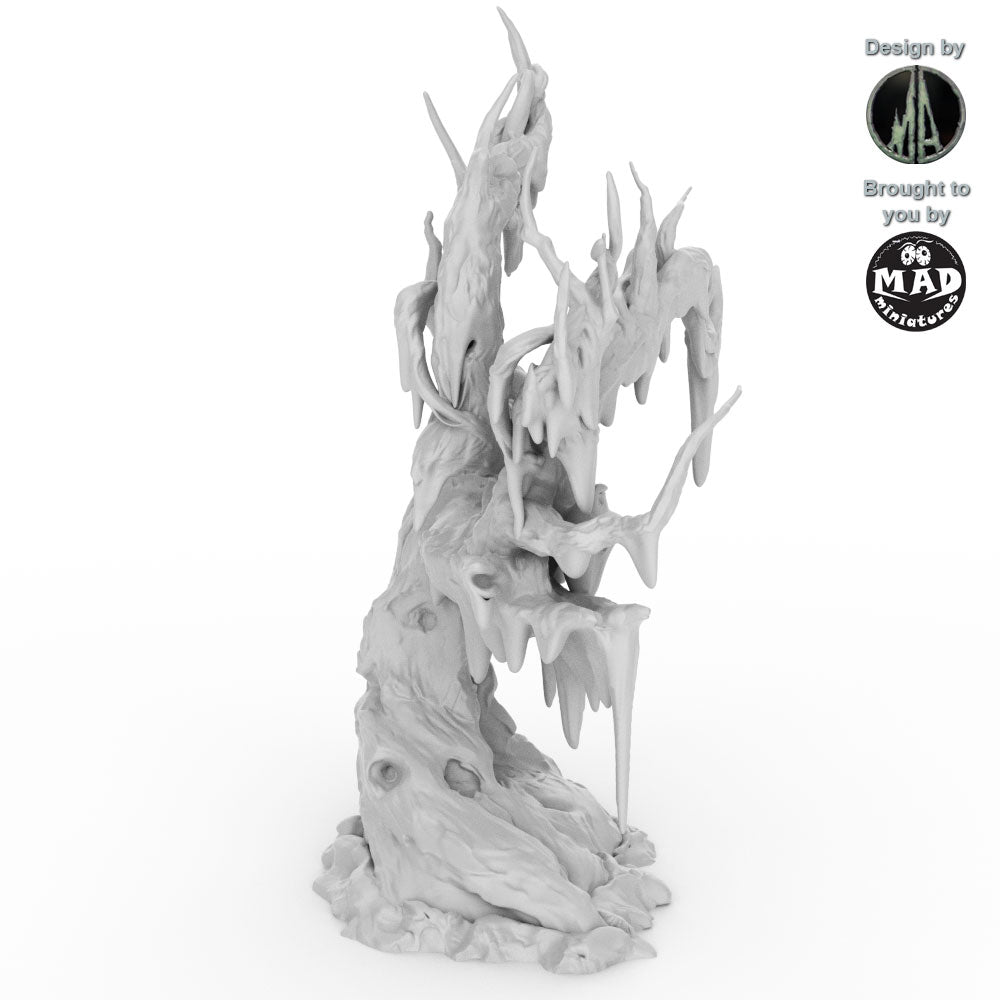 Swamp Trees
