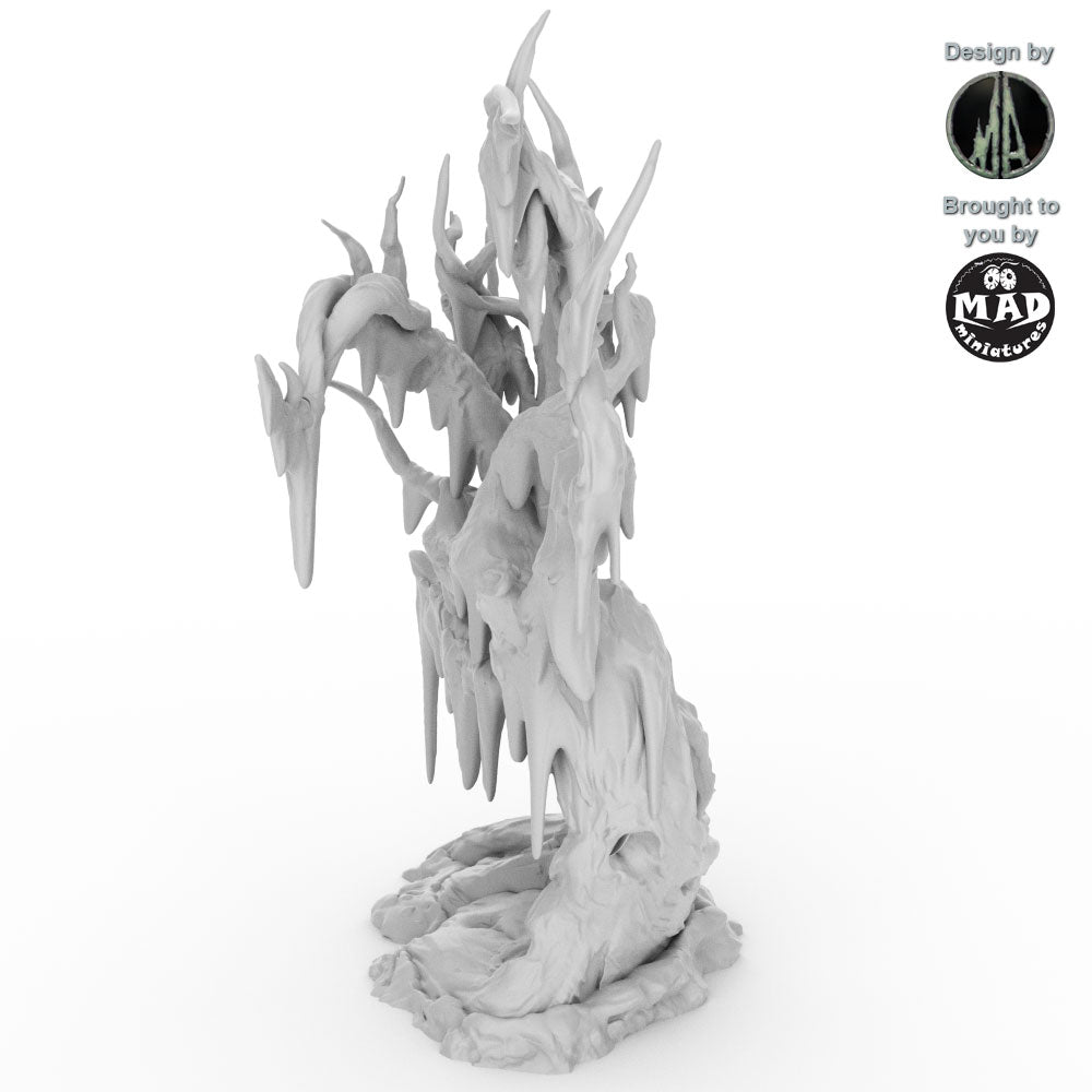 Swamp Trees