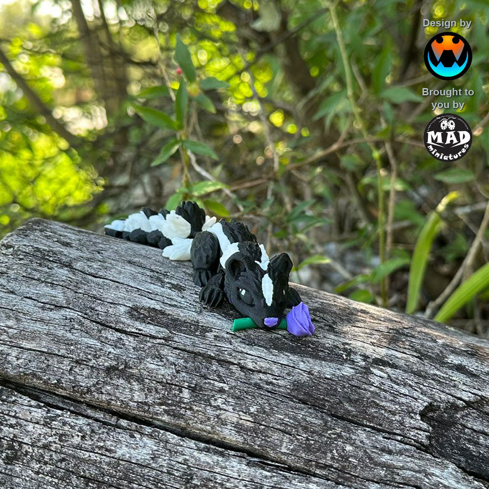 Sweetheart Skunk