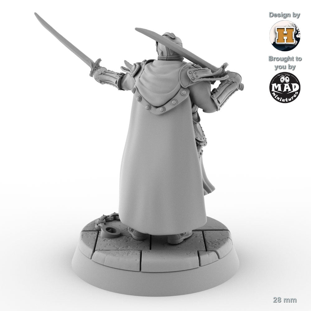 Sir Balyn le Sauvage