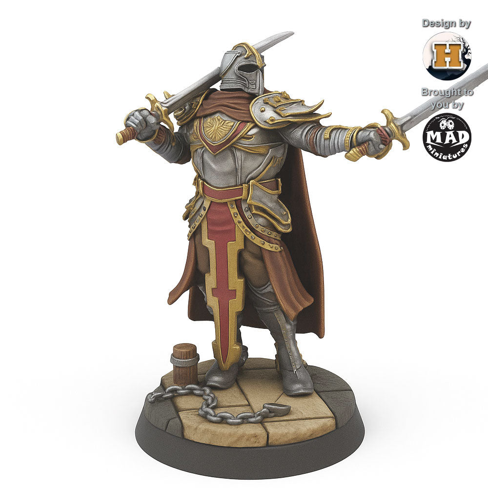 Sir Balyn le Sauvage