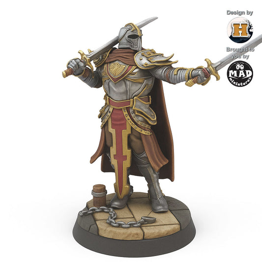 Sir Balyn le Sauvage