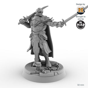 Sir Balyn le Sauvage