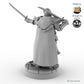 Sir Balyn le Sauvage