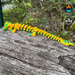 Sunflower Dragon