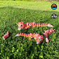 Baby Unicorn Dragon
