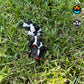 Sweetheart Skunk