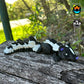 Sweetheart Skunk