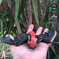 Tiny Bat