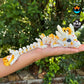 Baby Light Heart Dragon