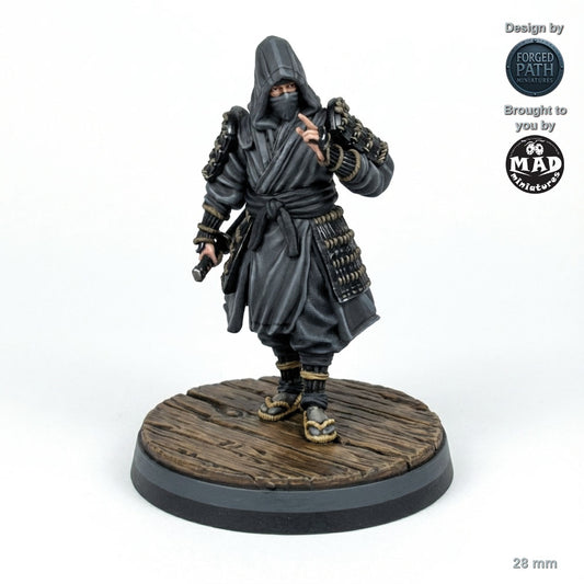 Ninja Assassins 1