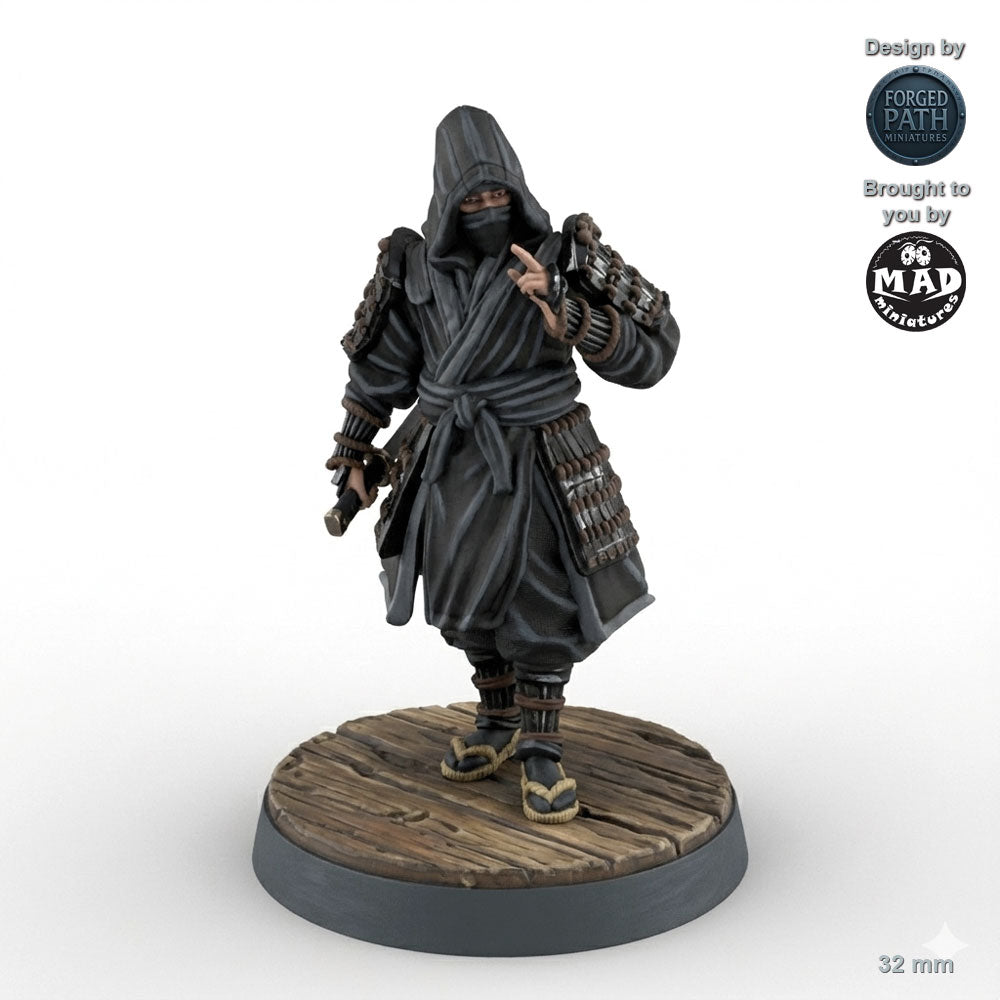 Ninja Assassins 1
