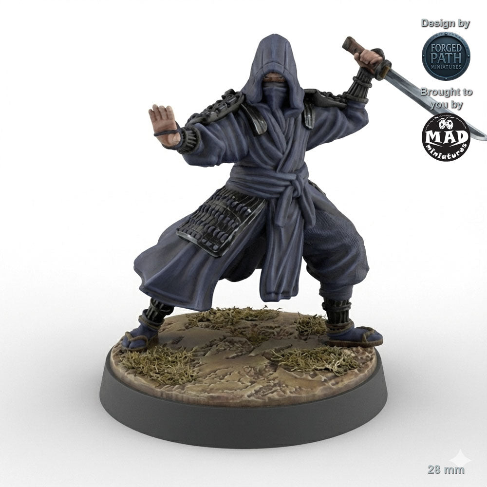 Ninja Assassins 2