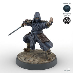 Ninja Assassins 3