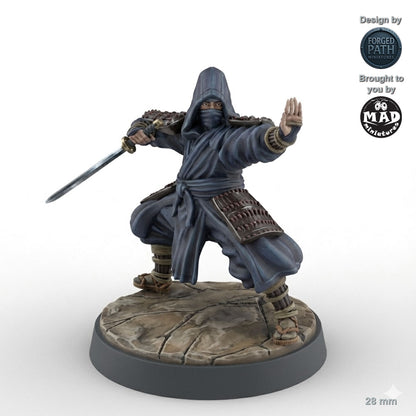 Ninja Assassins 3