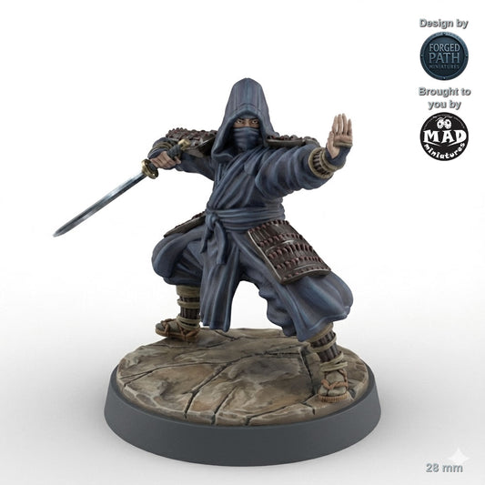 Ninja Assassins 3