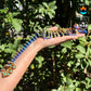 Peacock Dragon