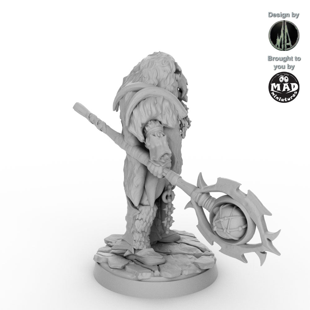 Orc Shamans