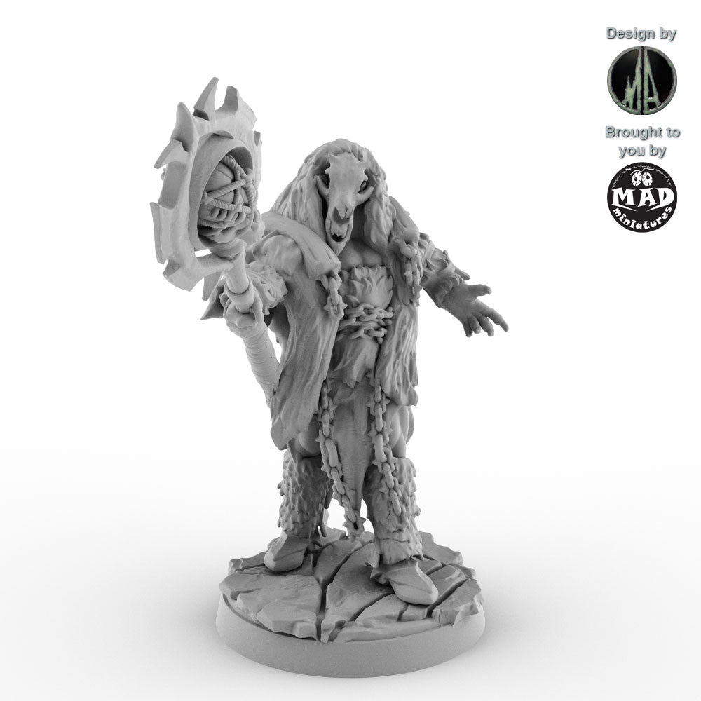 Orc Shamans