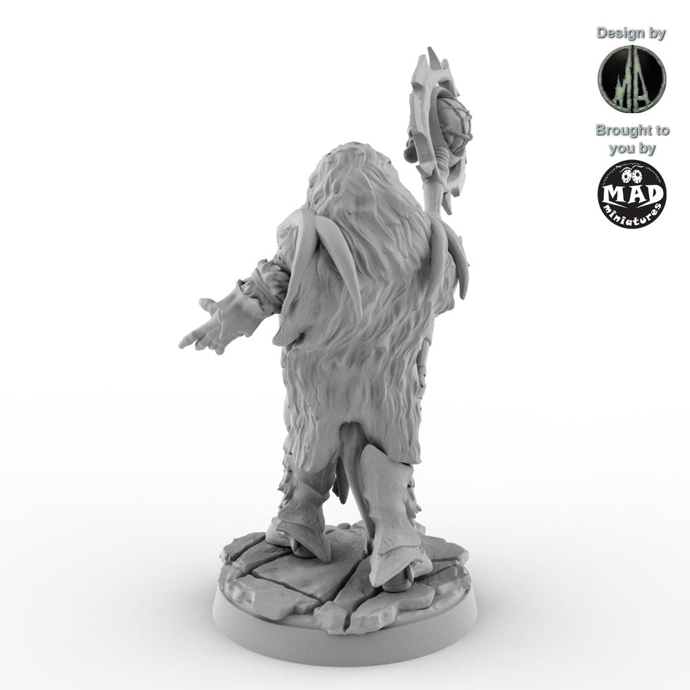 Orc Shamans