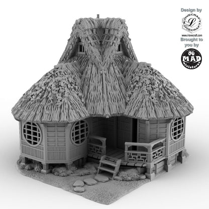 Okiya House (Geisha House)