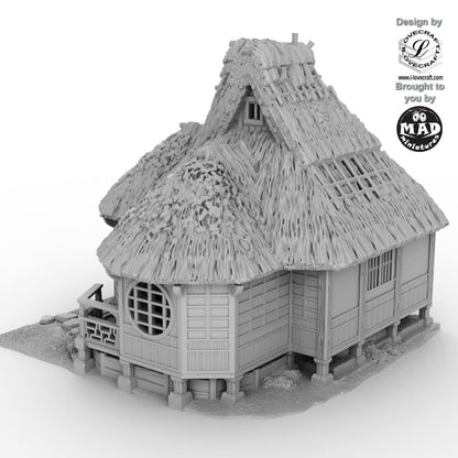 Okiya House (Geisha House)