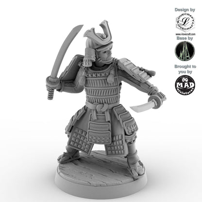 Samurai Nitoryu