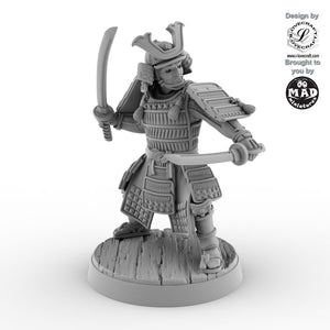 Samurai Nitoryu