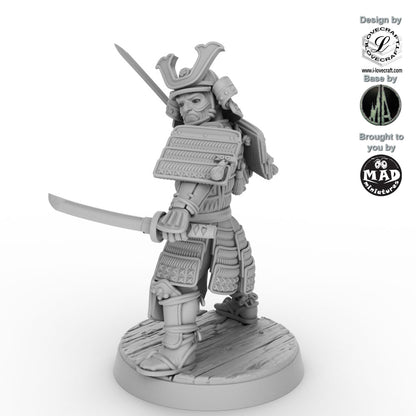 Samurai Nitoryu