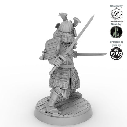 Samurai Nitoryu