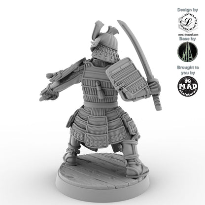 Samurai Nitoryu