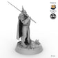 Sir Breunor Le Noir