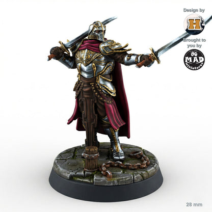 Sir Balyn le Sauvage