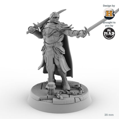 Sir Balyn le Sauvage