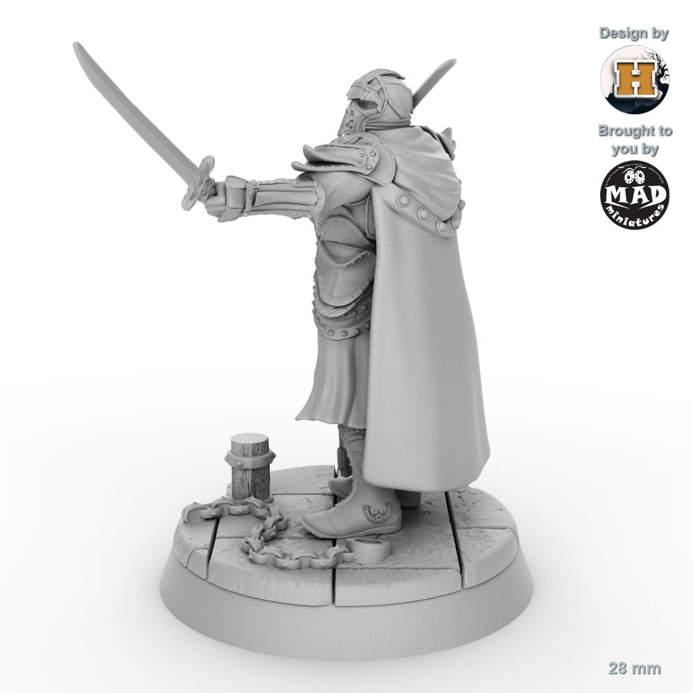 Sir Balyn le Sauvage