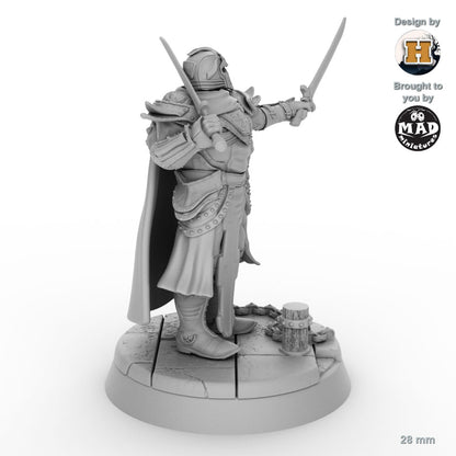 Sir Balyn le Sauvage