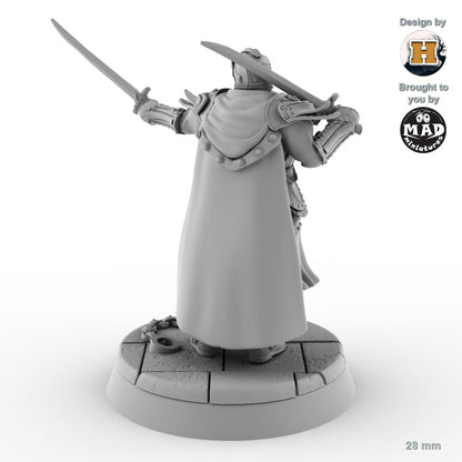 Sir Balyn le Sauvage